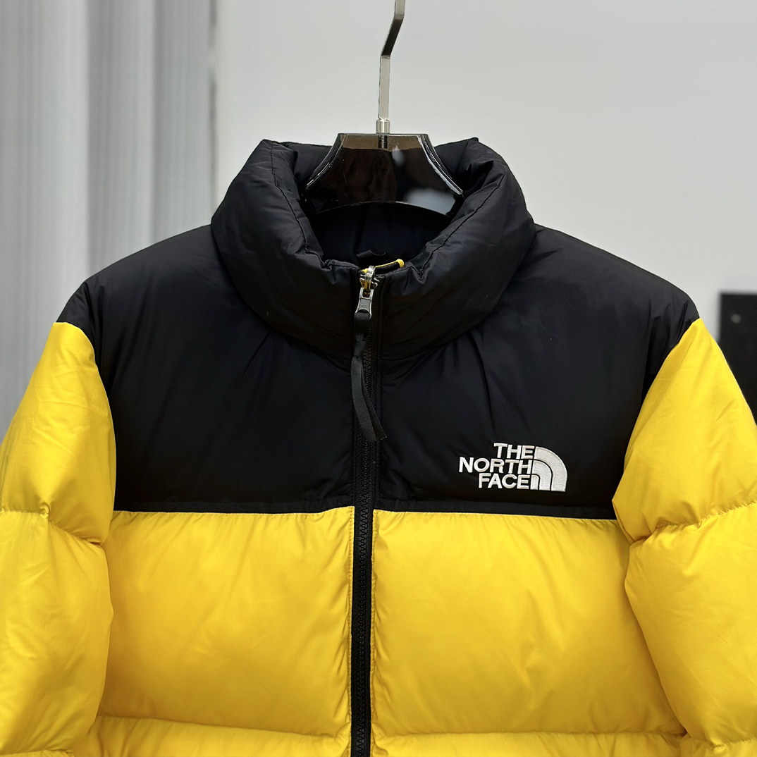 The north face 1996