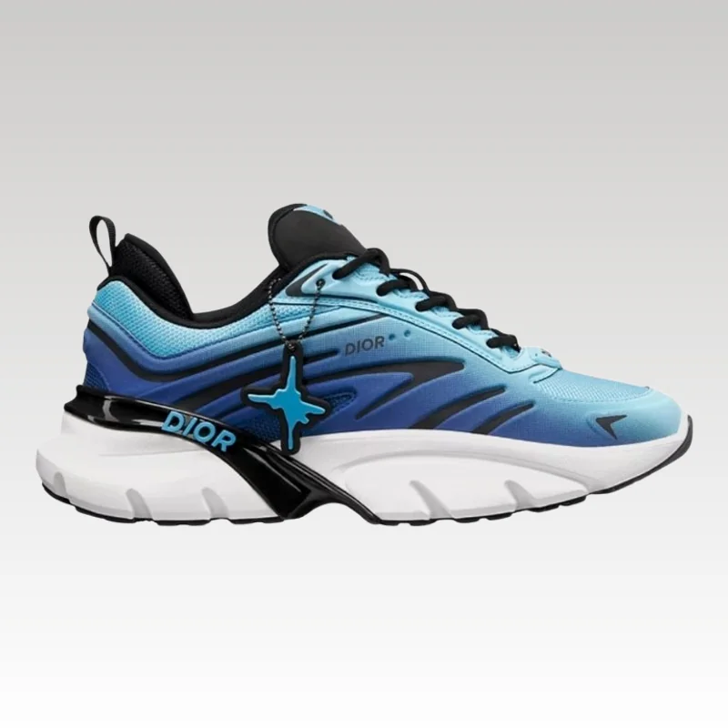 Christian Dior B44 Blade Vs Kaws